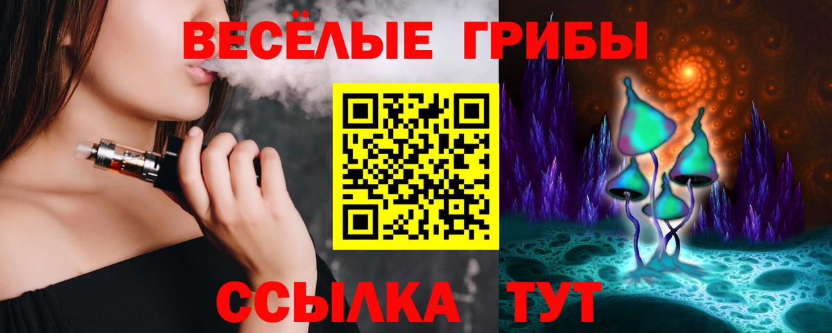 Алексеевка  Псилоцибиновые грибы Magic Shrooms  Вход с VPN 